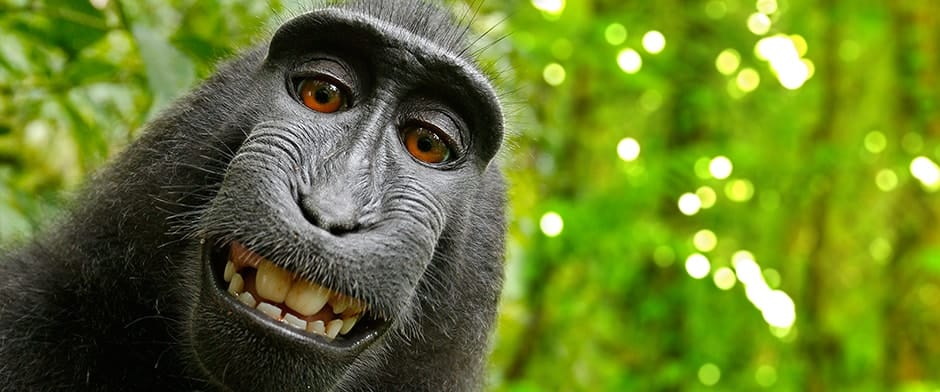 Make You Laugh Out Loud & Funniest Ever LOLs | Passion ...