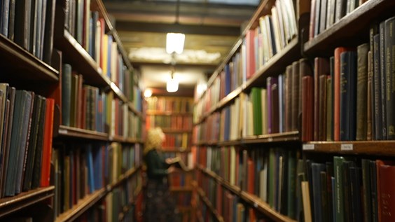 The Royals: A History of Scandal  banner