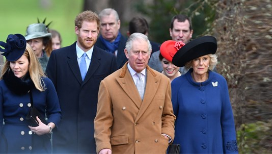 Charles & Camilla: Against the Odds