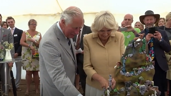 Charles and Camilla: Against the Odds banner